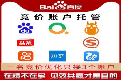 百度竞价排名服务的广告投放技巧与策略